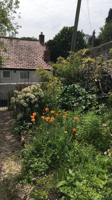 1 Laurel Cottages Dawlish Eksteriør bilde