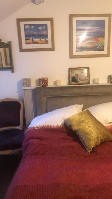 1 Laurel Cottages Dawlish Eksteriør bilde